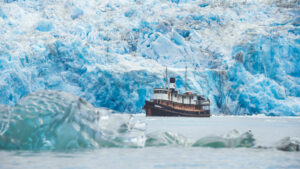 États-Unis Alaska Maple Leaf Adventures Croisière Swell Glacier côtier Glace Mer Océan Nature voyage o-nord