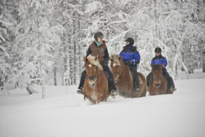 Finlande Laponie Ivalo Saariselkä Kakslauttanen Arctic Resort balade à cheval neige hiver arbres voyages o-nord