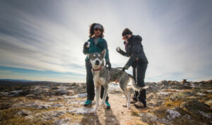 Finlande Laponie Ivalo Saariselkä Kakslauttanen Arctic Resort balade avec huskies voyages o-nord