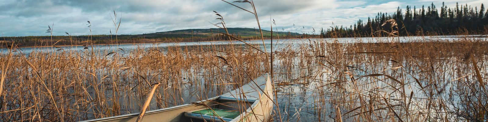 Suède Laponie suédoise pêche bateau roseaux forêts lacs montagnes voyages o-nord