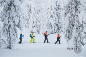 Finlande Laponie Muonio Harriniva Adventure Resort balade raquettes neige forêts arbres enneigés gens voyages o-nord