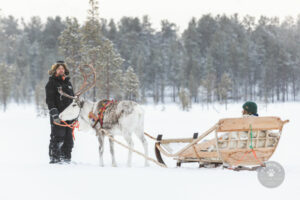 Finlande Laponie Muonio Harriniva Adventure Resort balade traîneau renne neige forêts arbres enneigés gens voyages o-nord