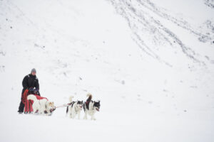 Norvège Oksfjordhjem Laponie paysages alpes Lyngen montagnes balade traîneau chiens neige voyages o-nord