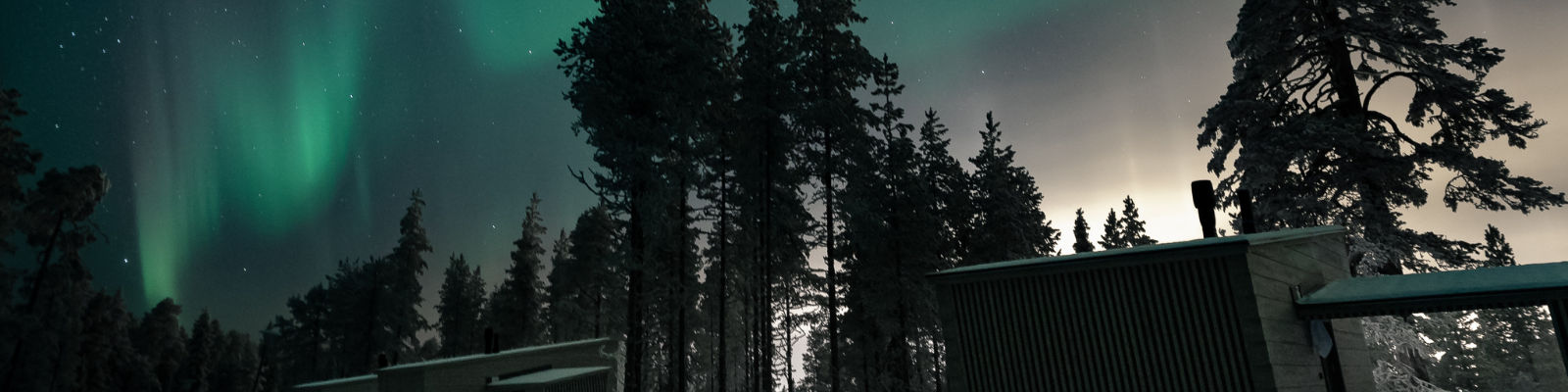 Finlande Laponie Salla Wilderness Lodges aurores boréales nuit polaire arbres voyages o-nord