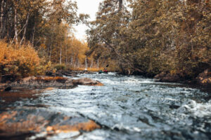 Finlande Laponie Levi Arctic Nook activités canoë ruska rivière forêts voyages o-nord