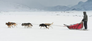 Suède Laponie Kiruna safari chiens montagnes traîneau voyages o-nord