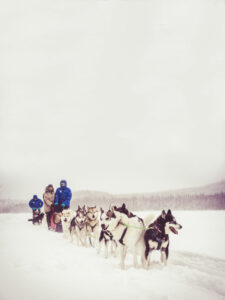 Suède Laponie Skellefteå Hotel Wood safari chien neige hiver voyages o-nord