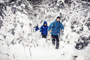 Suède Laponie Skellefteå Hotel Wood balade raquettes neiges arbres voyages o-nord