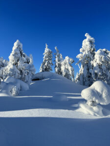 Finlande Laponie Syöte activité pistes ski poudreuse collines arbres paysage hivernal lever soleil voyages o-nord