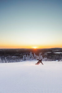 Finlande Laponie Syöte activité ski descente snowboard collines arbres paysage hivernal lever soleil voyages o-nord