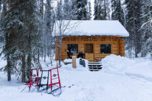 Canada Yukon Whitehorse Séjour Hiver Ile Isolée Cabane Principale Voyages o-nord