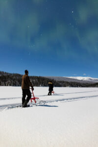 Canada Yukon Whitehorse Séjour Hiver Ile Isolée Kicksled Sous Les Aurores Boréales Voyages o-nord