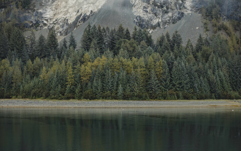 Alaska Grands Espaces foret lac paysage vue vert voyages o-nord