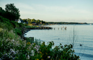 Danemark Humlebaek autotour Nord Zealand Côte eau verdure voyages o-nord