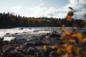 Suède Overkalix Jockfall vue eau forêt voyages o-nord