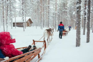 Finlande Laponie Posio Livo Arctic activité traineau safari rennes neige voyages o-nord