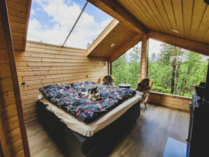 Finlande Laponie Levi séjour aventure équestre nature cheval été chambre chalet bois foret voyages o-nord