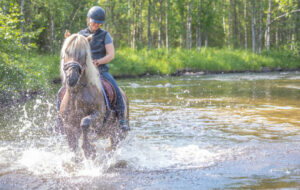 Finlande Laponie Levi séjour aventure équestre nature cheval été rivière eau balade randonnée foret voyages o-nord