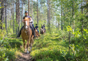 Finlande Laponie Levi séjour aventure équestre nature cheval été balade randonnée foret voyages o-nord