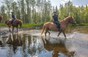 Finlande Laponie Levi séjour aventure équestre nature cheval été rivière balade randonnée foret voyages o-nord