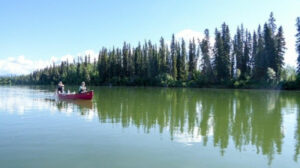 Canada Yukon séjour aventure familiale canoë rivière Nisutlin observation foret faune voyage o-nord
