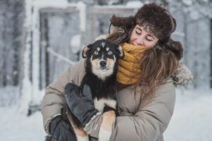 Finlande Laponie Levi séjour aventure nature chiens husky neige foret voyages o-nord
