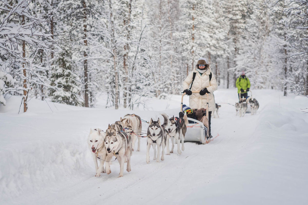 Finlande Laponie Levi séjour aventure nature chiens traîneaux husky neige foret voyages o-nord