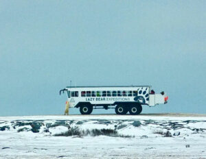 Canada Manitoba Churchill séjour aventure ultime ours polaires lazy bear expedition observation arctic crawler voyage o-nord