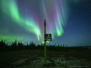 Canada Manitoba Churchill aventure photographie ultime observation aurores boréales séjour forêt nature ciel étoiles panneau voyage o-nord