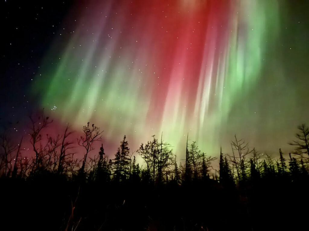 Canada Manitoba Churchill aventure photographie ultime observation aurores boréales séjour forêt nature ciel étoiles voyage o-nord