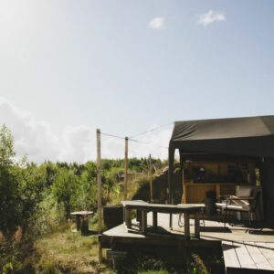 Danemark Forest Village séjour lodge nature insolite foret exterieur chalet voyage o-nord