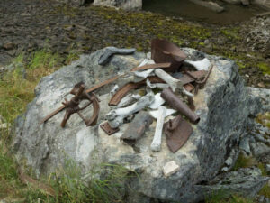 Canada Yukon séjour chercheur d'or chilkoot fossiles randonnée découverte roches nature eau voyage o-nord