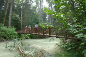 Canada Yukon séjour chercheur d'or chilkoot pont foret randonnée montagnes nature eau voyage o-nord
