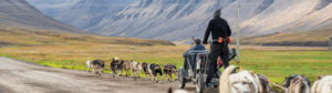 Svalbard Spitzberg Séjour Circuit inexploré chiens traineau été huskies routes voyage o-nord
