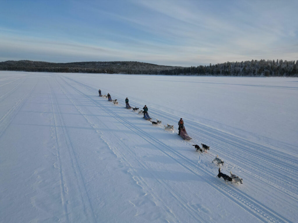 Suède Laponie Kiruna séjour chiens traîneaux husky neige montagne paysage vitesse magie hiver soleil voyages o-nord