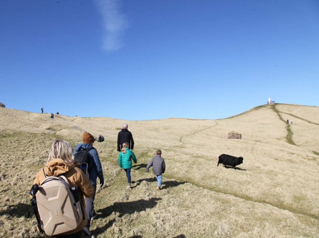 Danemark Iles Féroé Vagar séjour autotour Magie Famille collines animaux moutons nature verdure paysage aventure promenade voyage o-nord