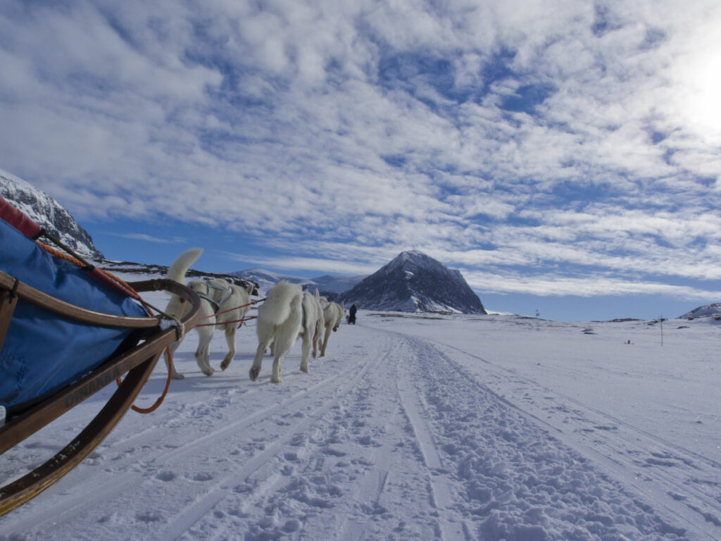 Suède Laponie Kiruna séjour chiens traîneaux husky neige montagne chemin du roi voyages o-nord
