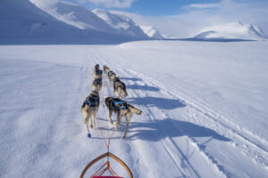 Suède Laponie Kiruna séjour chiens traîneaux husky neige montagne chemin du roi voyages o-nord