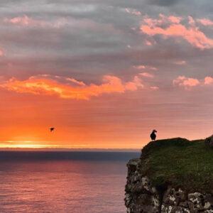 Danemark Iles Féroé séjour safari oiseaux mer Mykines soleil sunset paysage falaises observation mer aventure voyage o-nord