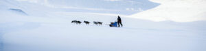 Spizberg Svalbard séjour Odyssée Glacier traineau chiens aventure excursion montagnes neige voyage o-nord