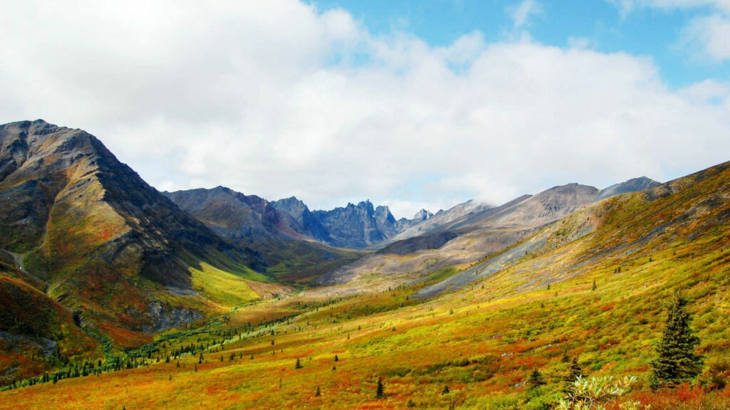 Canada Yukon Patagonie séjour excursion randonnée montagnes paysage nature foret flore voyage o-nord