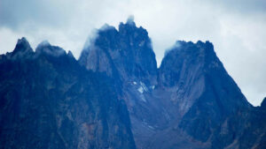 Canada Yukon Patagonie séjour excursion randonnée montagnes paysage nature foret flore voyage o-nord