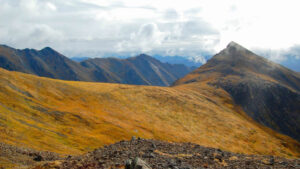 Canada Yukon Patagonie séjour excursion randonnée montagnes paysage nature foret flore voyage o-nord