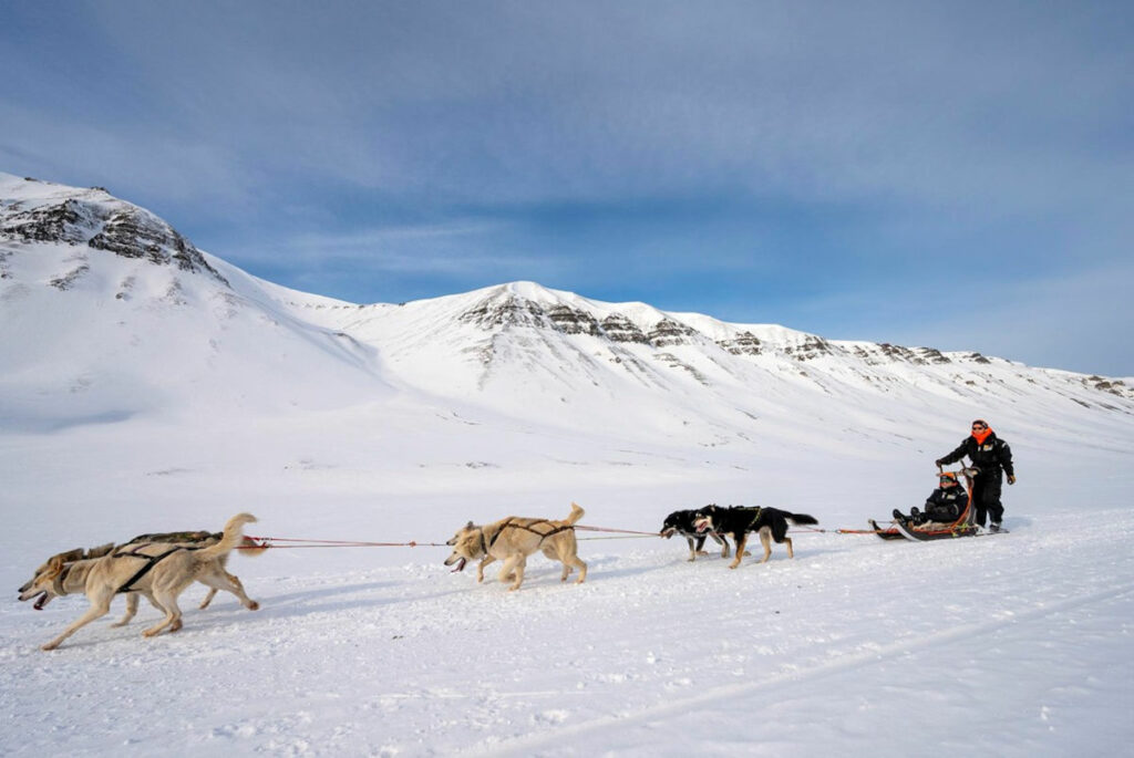 Svalbard Spitzberg séjour piste trappeurs traineau chiens husky montagnes paysage voyage o-nord