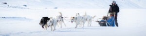 Spitzberg Svalbard Arctique route télégraphe aventure chiens traineau guide vitesse montagnes neige voyage o-nord