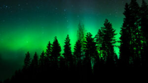 Finlande Laponie Ranua Resort villa holiday vacances observation aurores boréales cheval voiture foret arctique automne voyage o-nord