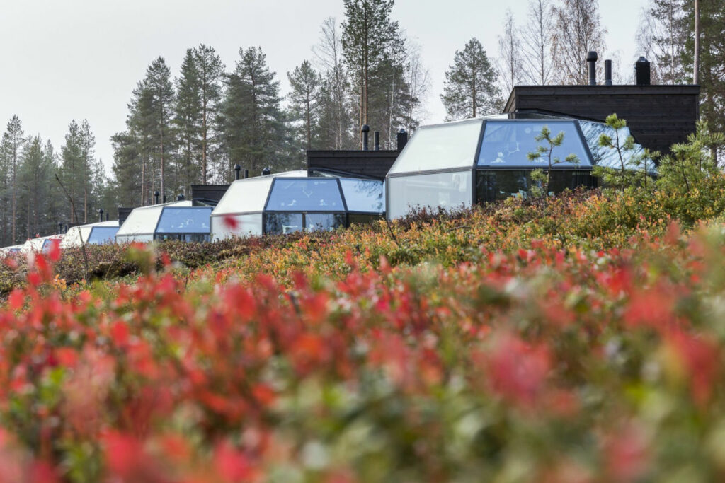 Finlande Laponie Ranua Resort villa holiday vacances igloo verre fleurs insolite arctique automne voyage o-nord