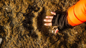 Svalbard Spitzberg séjour Traversée Nordenskiold pied randonnée marche expédition faune sauvage traces empreintes découverte voyage o-nord