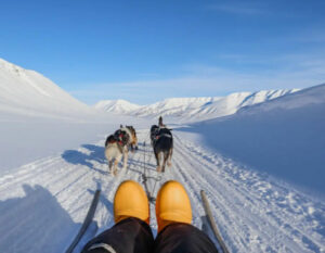 Norvège Spitzberg Longearbyen Svalbard Arctique séjour expédition montagnes neige chiens traineaux hiver paysage voyages o-nord