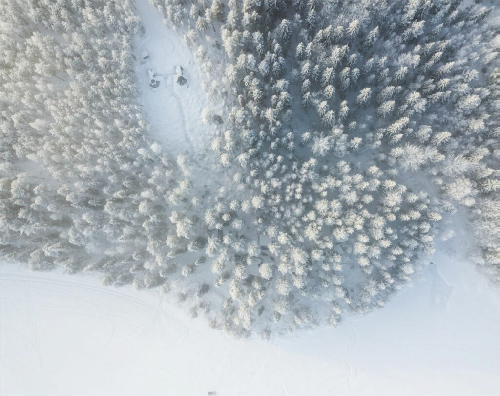 Suède Laponie Gunnarsbyn Aurora Safari Camp paysage foret enneigée vue Isolé neige hiver Séjour Insolite Voyage O-Nord